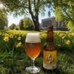 DP Hoppy Blond, glas en fles in het gras tussen gele narcissen in een zonnig park met hoge bomen